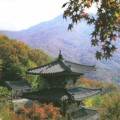 Korean pagoda