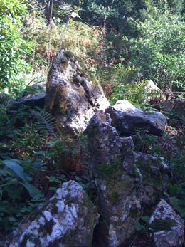 Rock garden at Agatha Christie's Greenway House. Photo RSR