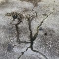 Cracked concrete.